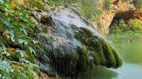 Moss splashed by waterfall in slow motion Stock Footage 124389314