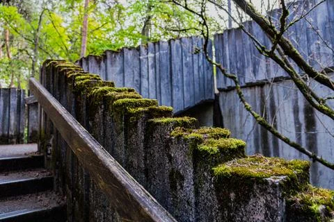 Moss on stair in spring time Stock Photos