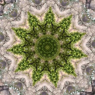 Moss star abstract background Stock Illustration