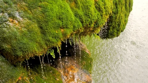 Moss on stone and a waterfall on it in slow motion Stock Footage 124389693