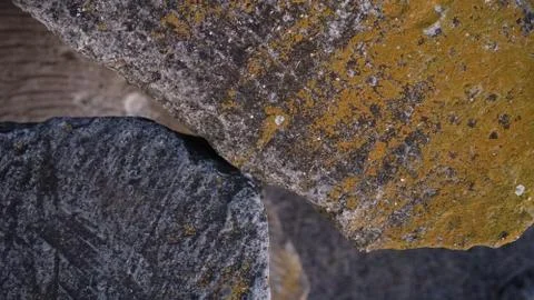 Moss on a stone in macro shot Stock Photos