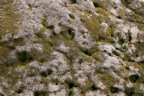 Moss On Stone Stock Photos