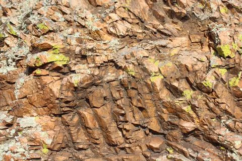 Moss Texture background on the rock Stock Photos