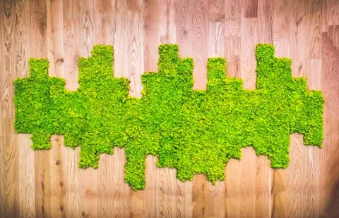 Moss texture pattern on wooden panel Stock Photos