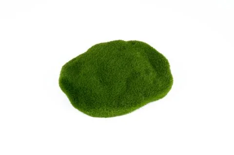 Moss on white background. Stock Photos