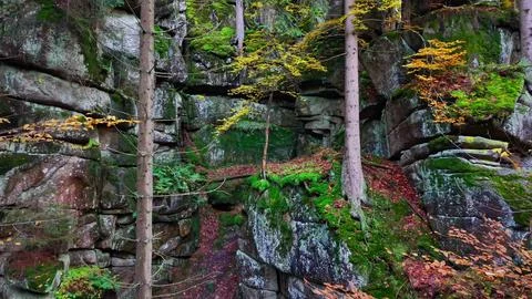 Mosscovered cliffs with trees on steep face, lichenadorned strata and vegetation Stock Photos