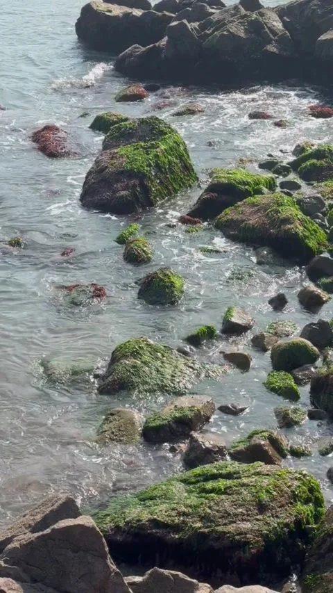 Mosscovered rocks in the ocean surf along a rocky coastline Stockbeeldmateriaal 334163807