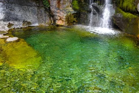 Moss‑Draped Cascade under Leafy Canopy Stock Photos