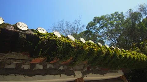 Mosses Rooftop Foto stock