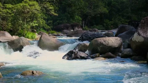Mossman Gorge Stock Footage 157195897
