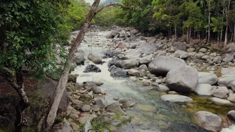 Mossman Gorge  Stock Footage 321117840