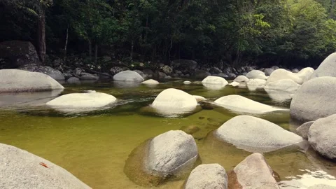 Mossman Gorge  Stock Footage 321117945