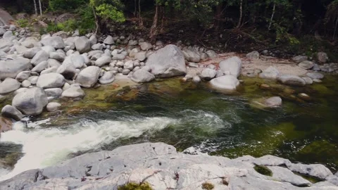 Mossman Gorge Stock Footage 321117991