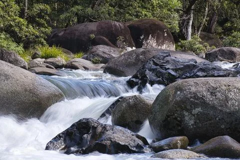 Mossman Gorge Stock Photos