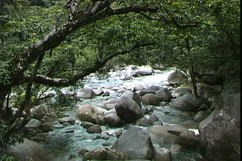 Mossman River Stock-Footage 819040