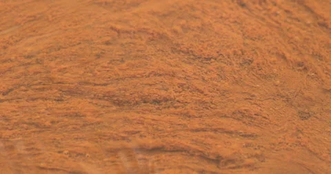 Mossy Algae in the water Stock Footage 335669412