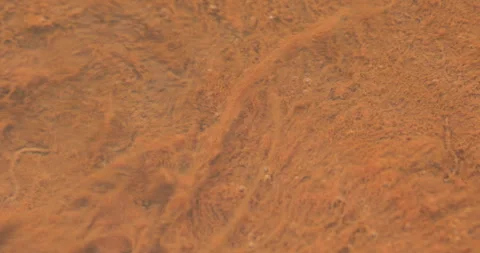 Mossy Algae in the water Stock Footage 335669416