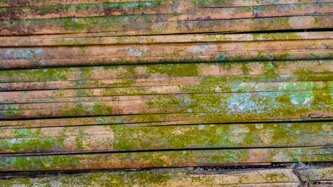 Mossy bamboo wall texture as a background Stock Photos