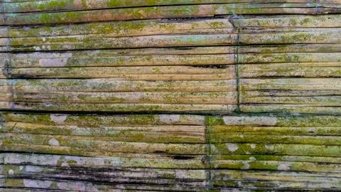 Mossy bamboo wall texture as a background Stock Photos