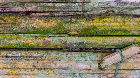 Mossy bamboo wall texture as a background Stock Photos
