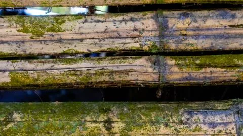 Mossy bamboo wall texture as a background Stock Photos