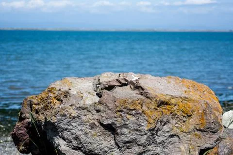 Mossy boulder with ocean behind Stock Photos