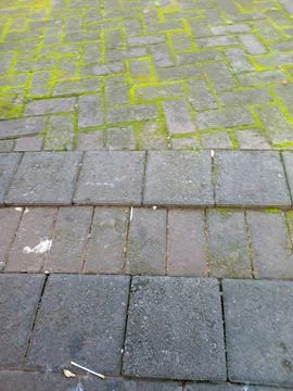Mossy brick sidewalk pavement texture 库存照片