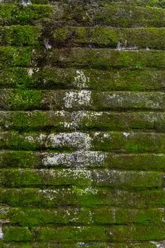 Mossy brick wall as a 3D texture Stock Photos