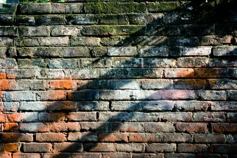 Mossy brick wall background Stock Photos