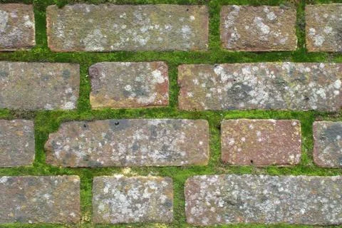 Mossy Brick Wall Stock Photos