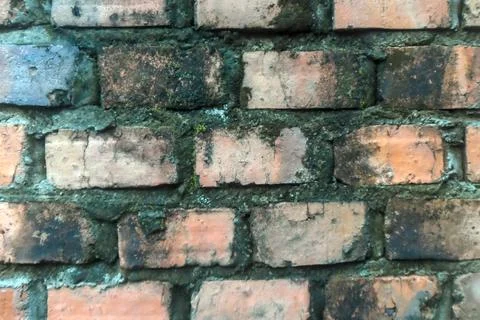 Mossy brick wall Stock Photos