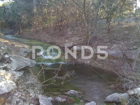 Mossy Brook Stock Photos