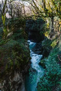 Mossy Canyon Stream Stock-Fotos