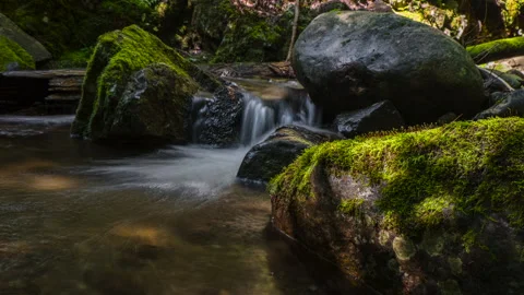 Mossy Cascade Waterfall Timelapse Stock Footage 250133172