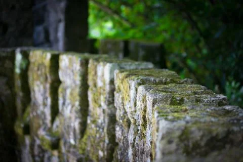 Mossy Castle Wall Stock Photos