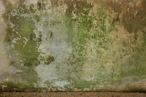 Mossy cement wall background Stock Photos
