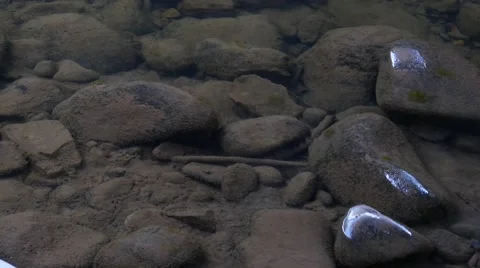 Mossy Crystal Clear Riverbed, 4K Stock Footage 56439960