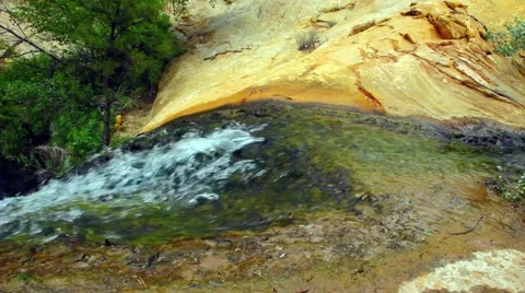 Mossy desert waterfall and stream Stock Footage 5870004