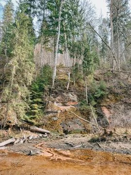 Mossy Forest Cliff with Small Stream in Natural Wilderness Stock Photos