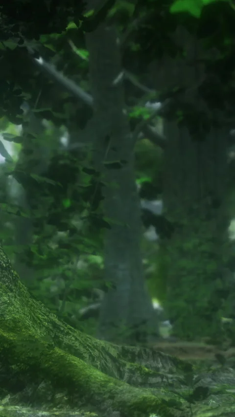 Mossy forest floor invites exploration in a mystical green paradise Vídeo Stock 334206437