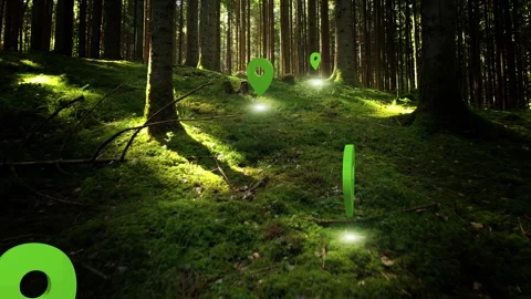 Mossy forest with Location Pin pointers animation Stock-Footage 345330367