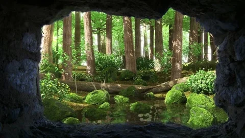Mossy Forest View Through Cave Opening Stock Footage 327194487