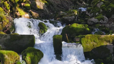 Mossy forest waterfall stream Stock Footage 284894897