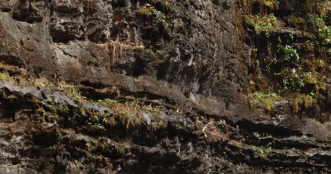 Mossy on the Hill Stone Видео 335362139