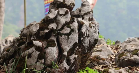 Mossy on the Hill Stone Видео 335618788
