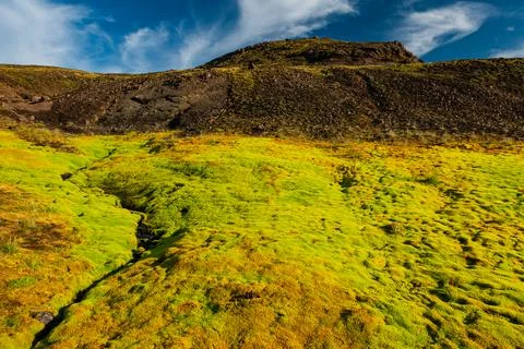 Mossy landscape with a small stream Stock Photos