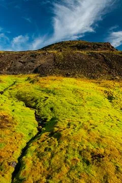Mossy landscape with a small stream Stock Photos