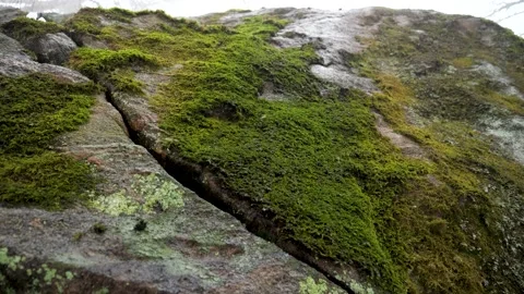 Mossy mountain with falling water drops Stock Footage 148964672