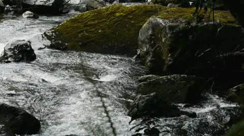 Mossy mountain river Stock Footage 10733969