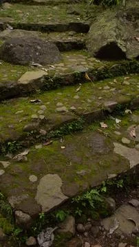 Mossy Natural Stone Steps – Rustic Pathway Design Foto stock